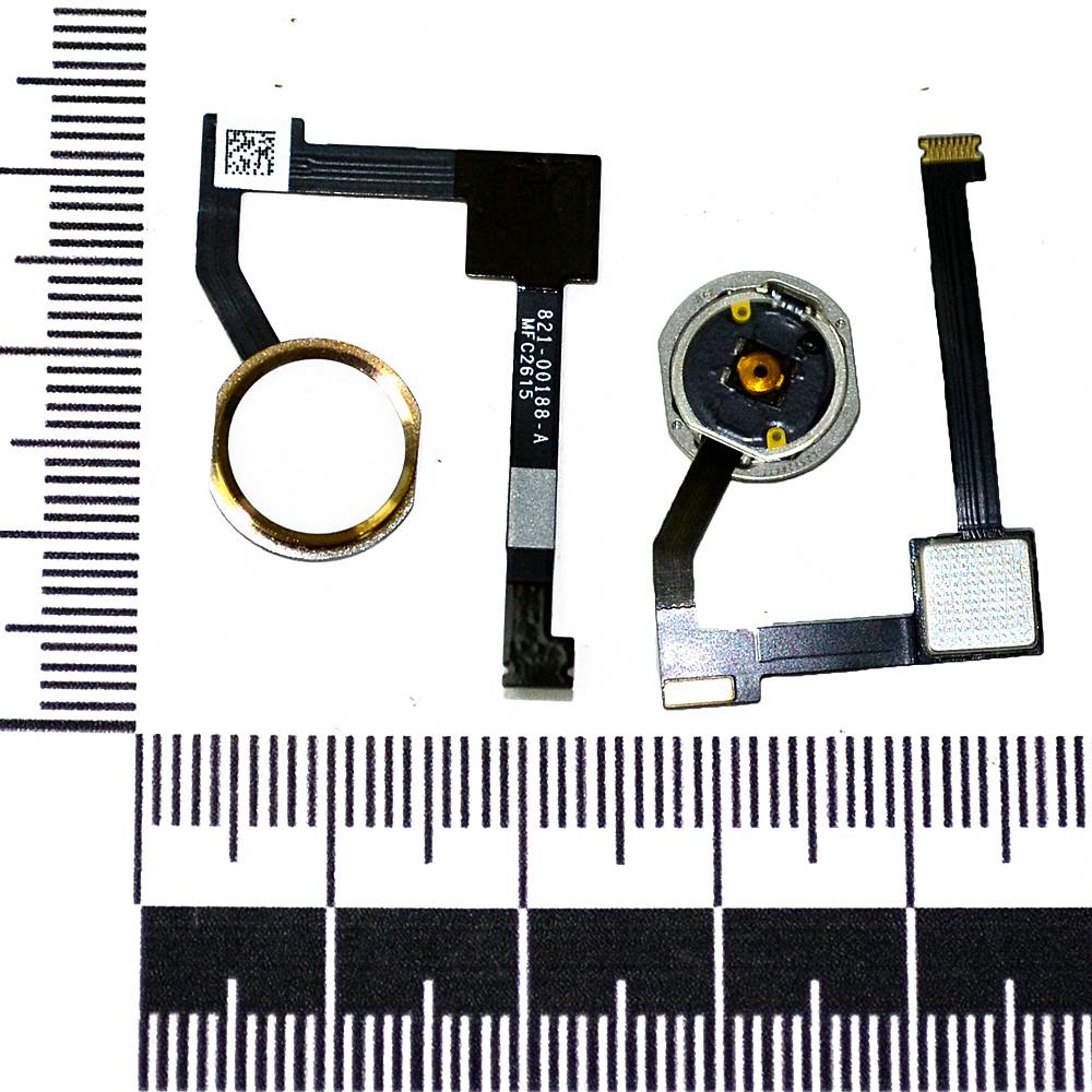 Шлейф iPad Air 2 + кнопка "HOME" золото