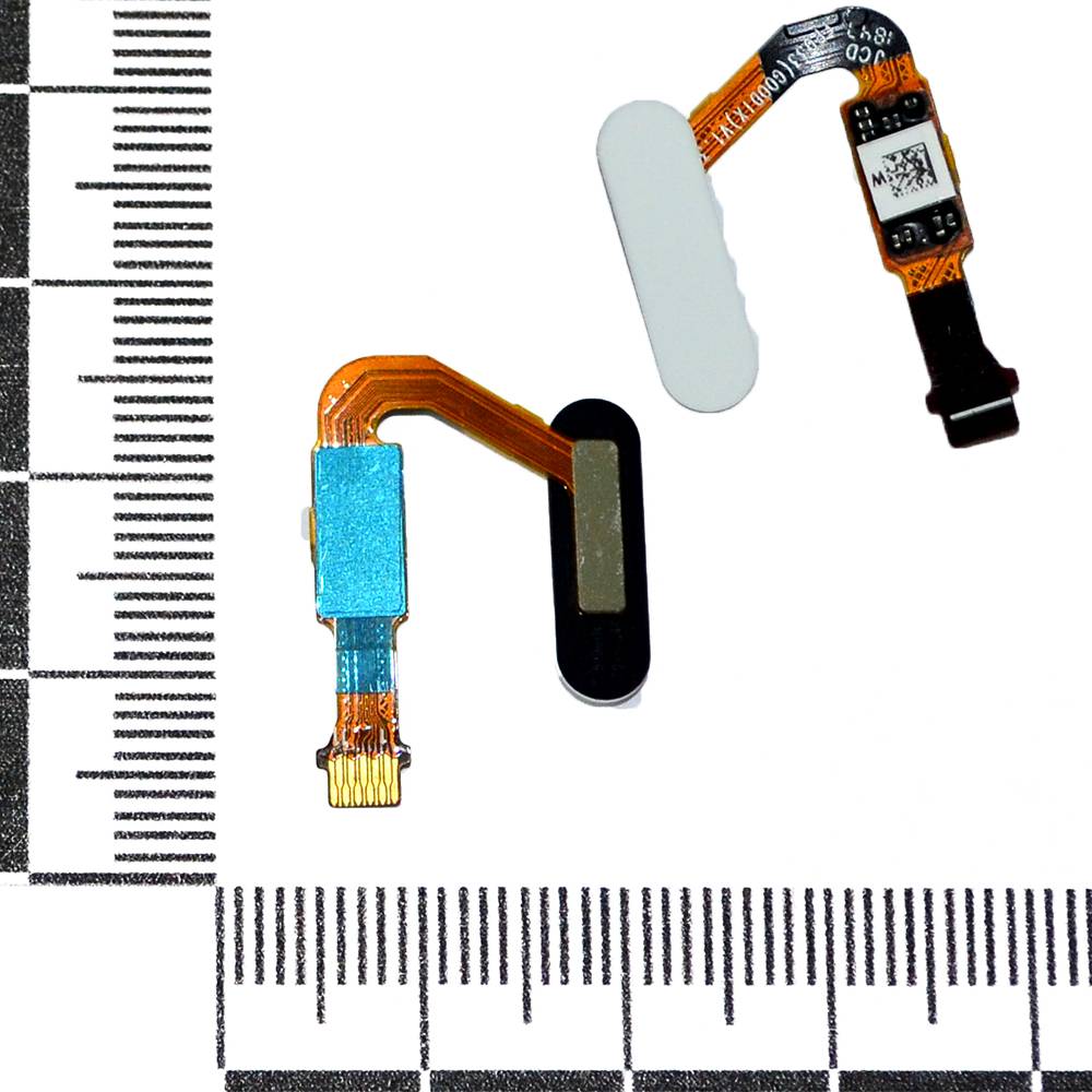 Шлейф Huawei Nova 2s/P20/P20 Pro/Mate 10/Honor View 10/V10 + кнопка Home белый orig Factory